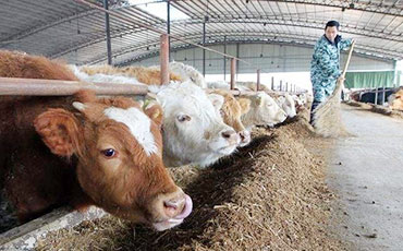 天潤新東牛奶制冷罐出口印度 大力拓展海外市場